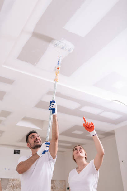 Professional Mold Removal in Edgewater, MD