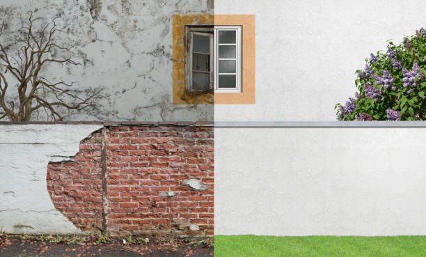 Best Mold Documentation for Insurance Claims  in Edgewater, MD