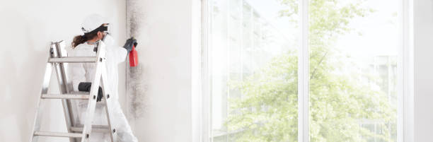 Best Post-Construction Mold Inspection  in Edgewater, MD