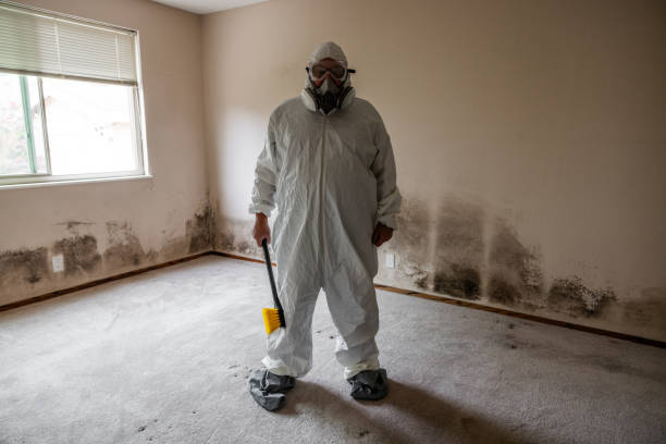 Best Air Quality Testing for Mold Spores  in Edgewater, MD